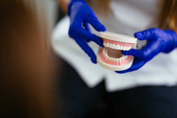 Professional Holistic Dental Care Services in Denton, TX